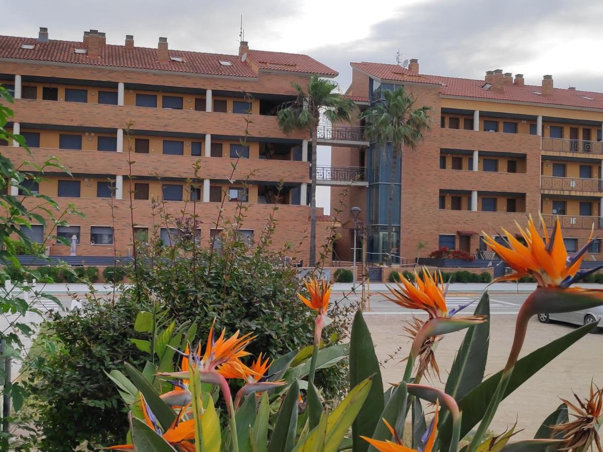 Apartamento en Deltebre Lo Delta Buitenkant foto